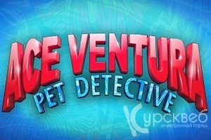 Ace Ventura slot