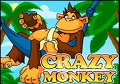 Crazy Monkey  