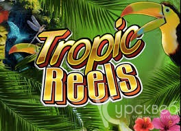Tropic Reels   