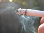 В Поныровском районе в здании школы незаконно продавали сигареты В Поныровском районе в здании школы незаконно продавали сигареты