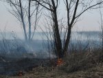 В Курчатовском районе в торфяном пожаре найдены останки человека В Курчатовском районе в торфяном пожаре найдены останки человека