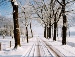Курских автовладельцев просят не препятствовать уборке снега Курских автовладельцев просят не препятствовать уборке снега