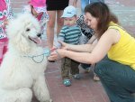 Под Курском состоится Международная выставка собак