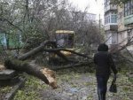 В Курске из-за ливней и сильного ветра жители Сеймского округа лишились электричества