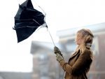 Дожди в Курской области будут лить несколько дней