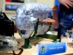 Молодые курские учёные показали свои разработки на Всероссийском фестивале науки
