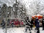 В начале недели Курская область окажется во власти дождя и мокрого снега