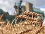 Курская область оказалась в лидерах по России по производству сельхозпродукции