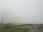 На Курскую область опустился туман