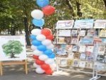 В Курске открылся «Летний парк чтения»