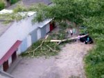 Ураганный ветер в Курске повалил дерево во дворе многоэтажки