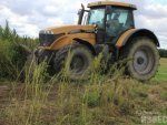 Трактор уничтожил посевы конопли на двух гектарах поля
