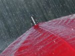 Курский Гидрометцентр: декабрь в регионе начался дождем и сильным ветром