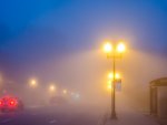 Синоптики о том, что сегодня в Курской области ожидается туман