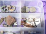 О находке в Курской области: археологами обнаружено древнее поселение и следы ювелирного производства
