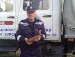 Пресс-служба ГУ МЧС России по Курской области о том, что спасатели обезвредили артснаряд