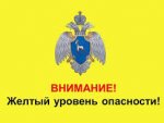 В Москве объявили желтый уровень погодной опасности 