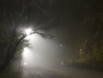 О погоде в Курской области: ожидается туман