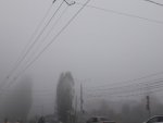 О погоде в Курской области: сохранится туманная и дождливая погода