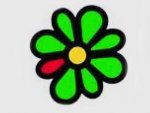 ICQ     300  