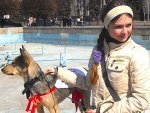 В Курске прошла благотворительная акция в помощь бездомным животным В Курске прошла благотворительная акция в помощь бездомным животным