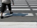 В Курске продолжается «Охота на зебру» В Курске продолжается «Охота на зебру»