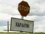 Территорию Знаменской рощи в Курске закрыли на карантин по бешенству Территорию Знаменской рощи в Курске закрыли на карантин по бешенству