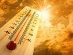 В Курской области ожидается жара до 33 градусов