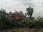 Мэр о последствиях непогоды в Курске: прошедший ураган повалил 369 деревьев 