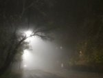 О погоде в Курской области: стоит ожидать туман