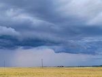 О погоде в Курской области: стоит ожидать сильные дожди