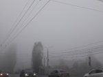В Курской области cтоит ожидать туман