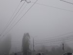 О погоде в Курской области: сегодня сохранится туманная и дождливая погода
