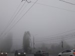О погоде в Курской области: ожидаются туман и заморозки