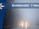 ГУ МЧС России по Курской области: ночью ожидаются туманы